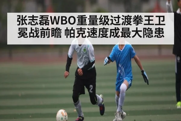 张志磊WBO重量级过渡拳王卫冕战前瞻 帕克速度成最大隐患（kaiyun）