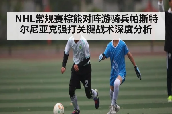 NHL常规赛棕熊对阵游骑兵帕斯特尔尼亚克强打关键战术深度分析 | kaiyun